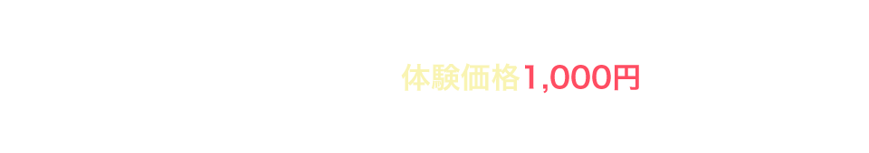 料理の基礎から学びたい方